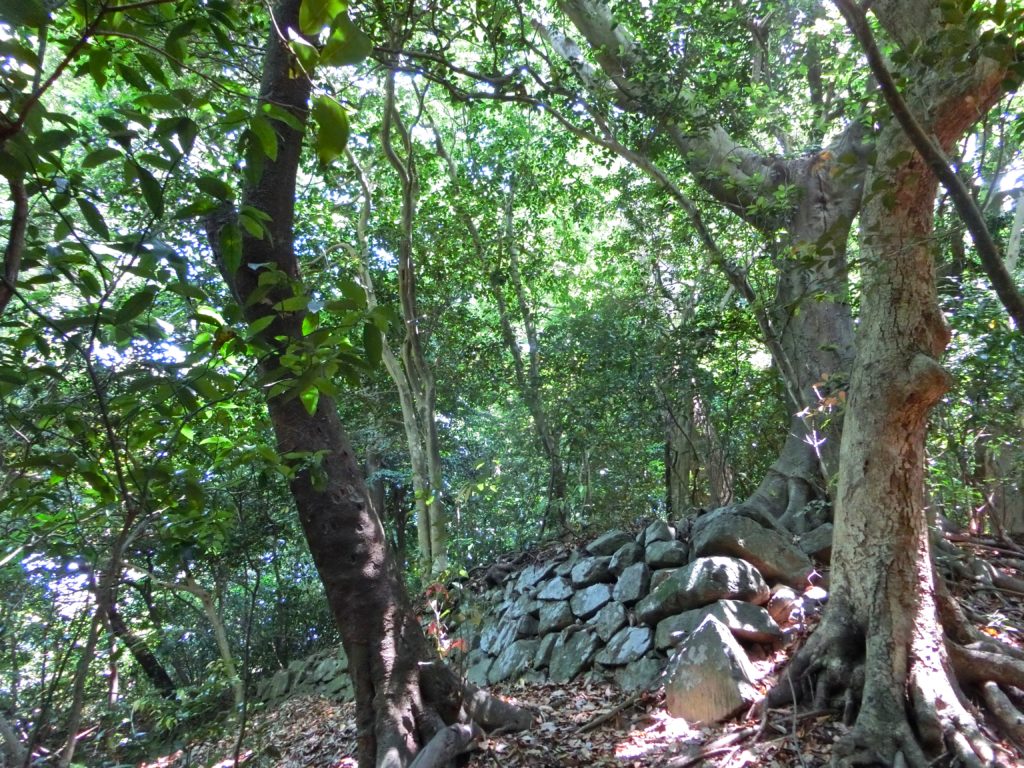 立花山城の旅 旅人のブログ