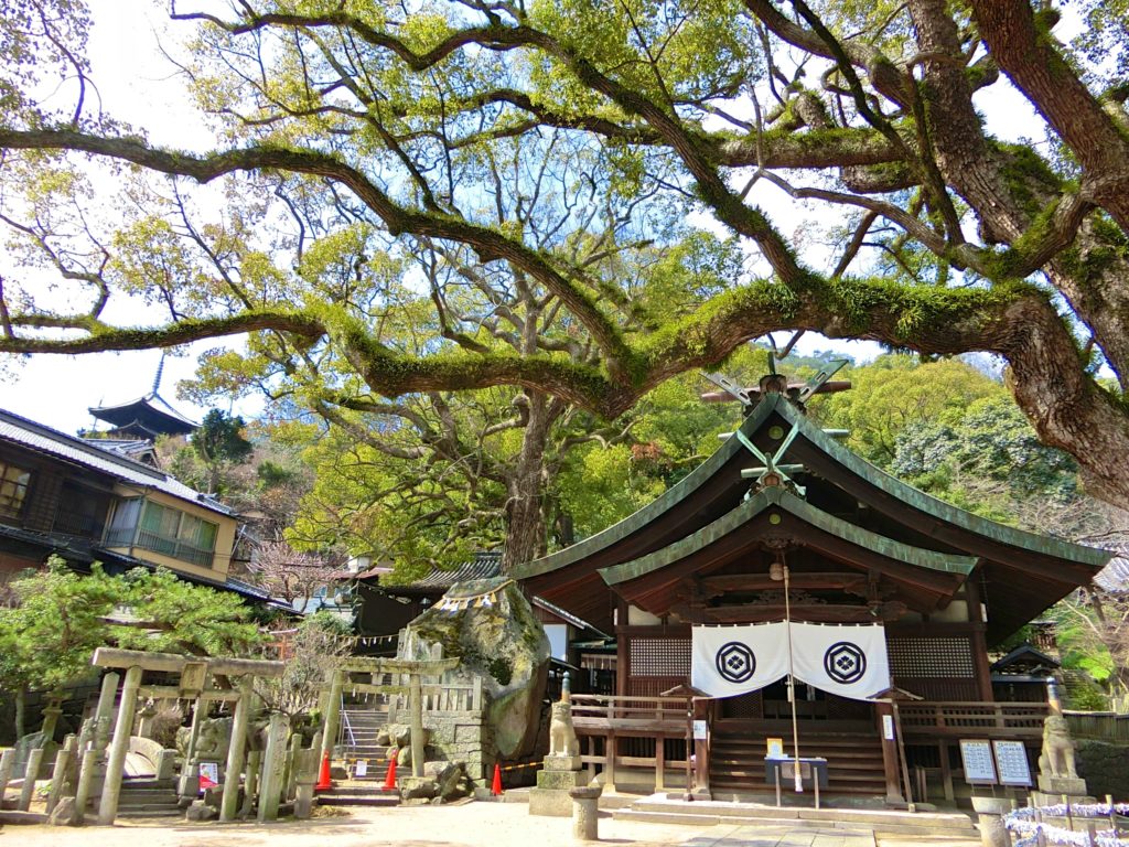 艮 うしとら 神社の大楠 広島県尾道市 旅人のブログ